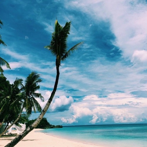 Tropical