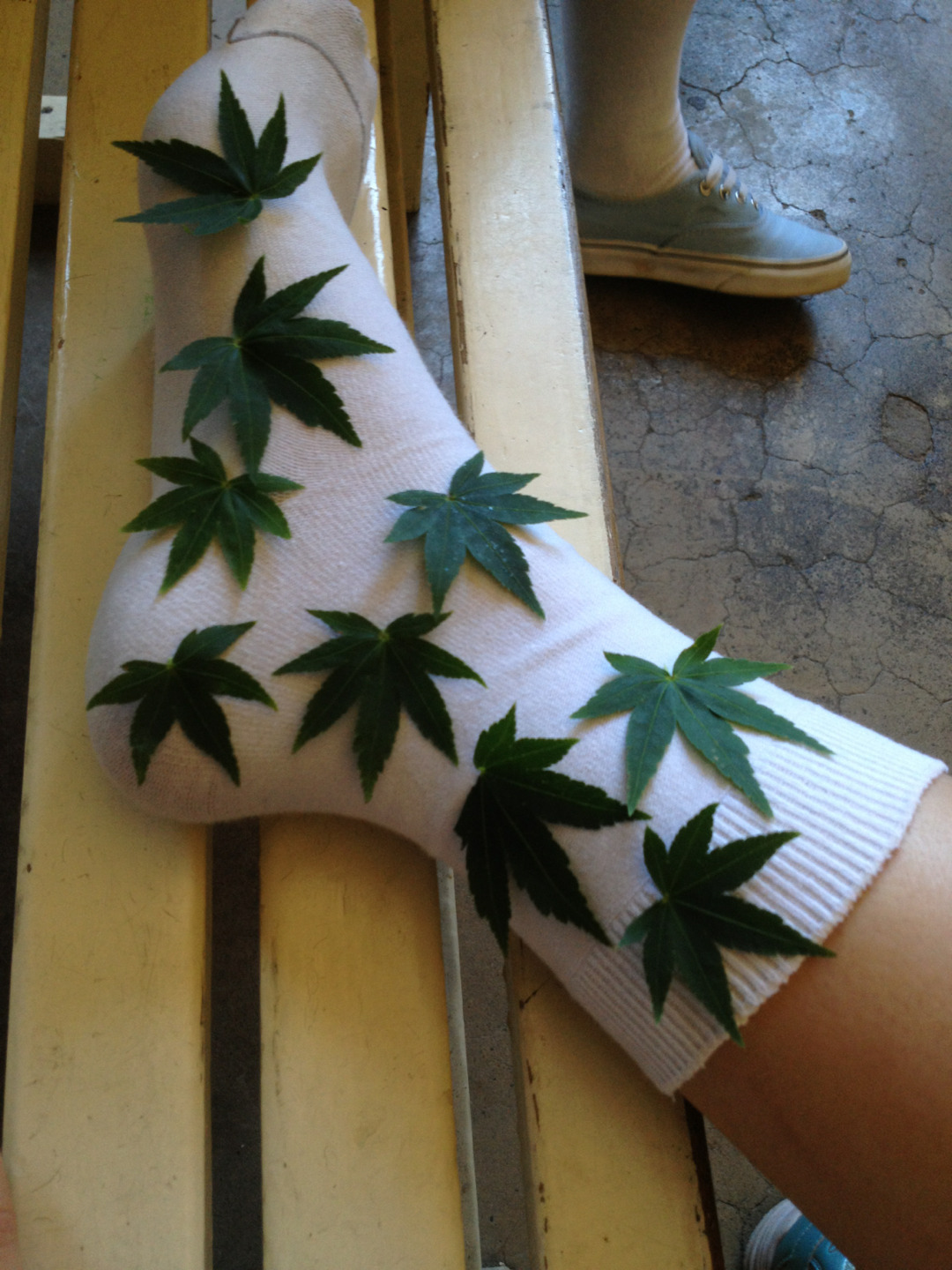 violet-lee:  huf socks  