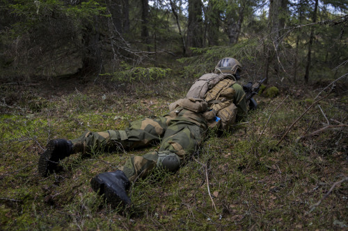 militaryarmament:  Recruits with The Norwegian Army’s Manoeuvre School’s Mechanized Company Group (KESK) during a live fire exercise at Rena Military Base. June 4, 2015.