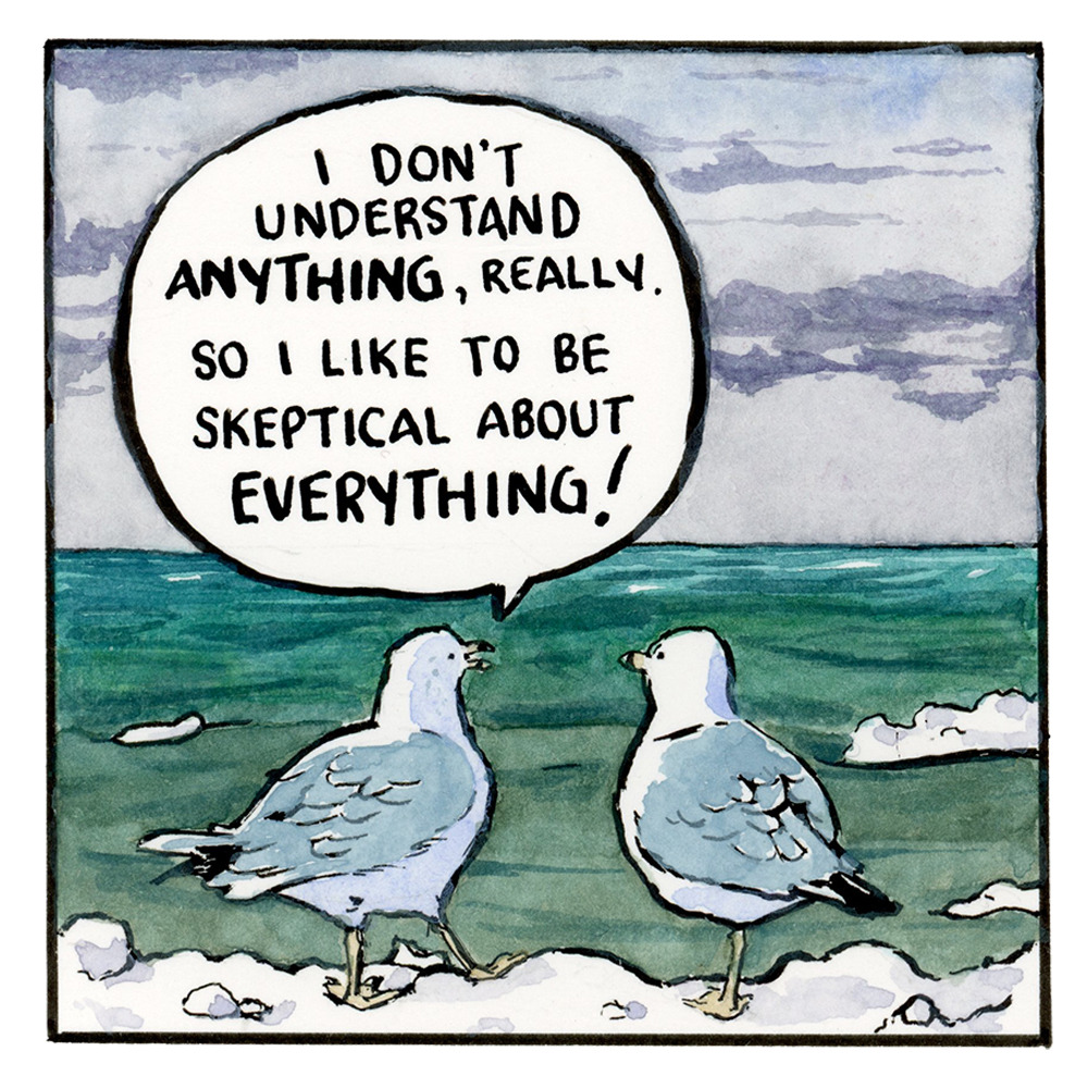 The first panel of the cartoon shows two seagulls, white with gray wings and yellow legs, overlooking a wind-tossed  blue-green sea. The seagull on the left says, "I don't understand ANYTHING, really. So I like to be skeptical about EVERYTHING!"