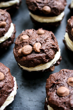 verticalfood:  Hot Chocolate Cookies