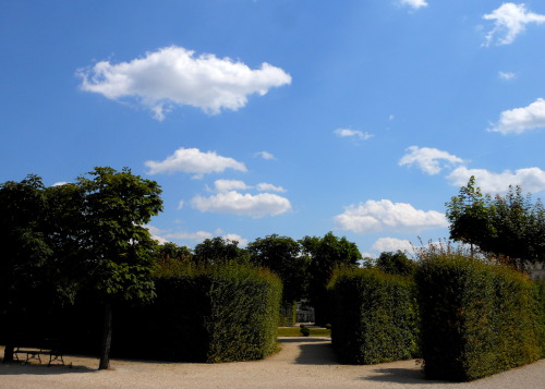 spaziergaenge-blog:  the Belvedere Gardens, Vienna | 6.2014