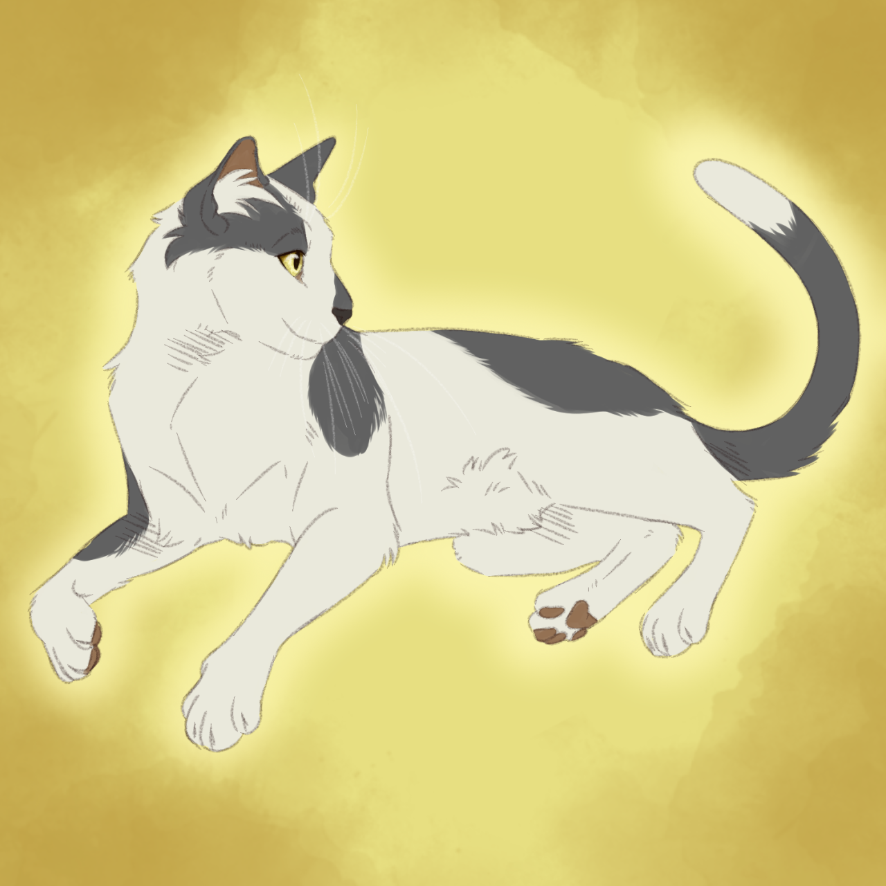 genetically accurate warriors: bluestar edition!