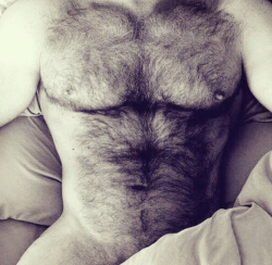 Lover of hairy