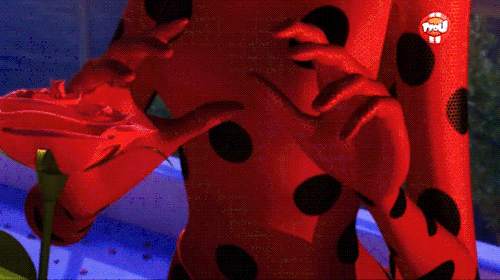 Chat Kisses Ladybug