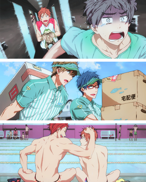 yinyu:  Free! Eternal Summer - All the end cards 