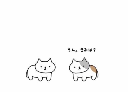 fuzzyfault:  きみはねこ？ うん。きみは？ - are you a cat? yep. and you?