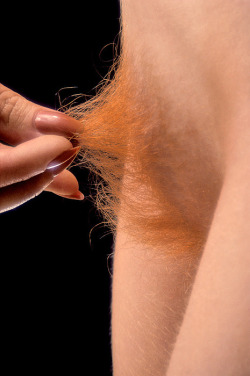 progressiveisouronlyfuture:  Silky texture