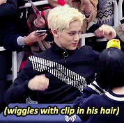 hanwooz:name: kim mingyu, personal talent: wiggling☆, ☆, ☆