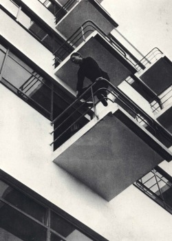 nonewerblack: László Moholy-Nagy - Dessau