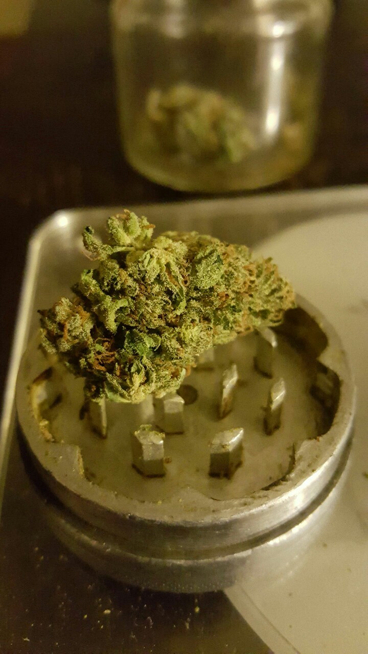 Terminator OG