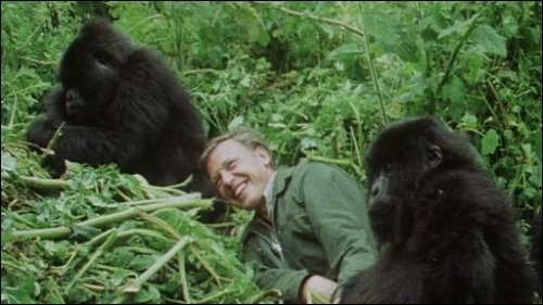 sagansense:Sir David Attenborough Reveals He’s Had A Pacemaker FittedThe 87-year-old filmmaker admit