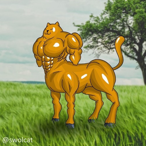 Cataur . . #swolcat #centaur #catdrawing #animaldrawing #swoleisthegoal #swoldier #buffalony #catdra