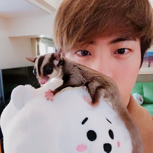 Tonight By Jin Layouts | Like Or Reblog