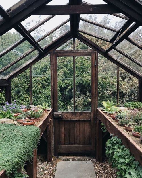 folklifestyle:Just Pinned to *Landscapes: MR Studio London on Instagram: “This cute glasshouse at @c