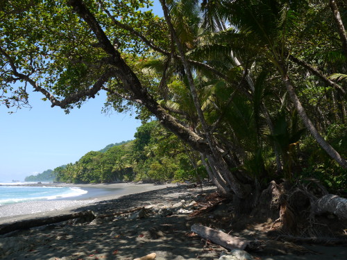 Craving wild open spaces. Costa Rica. 2013. 