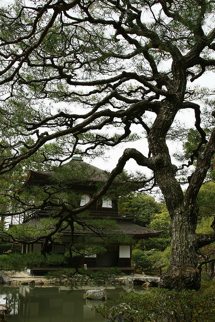 yuikki:Ginkakuji Image by MacHsin on Flickr.