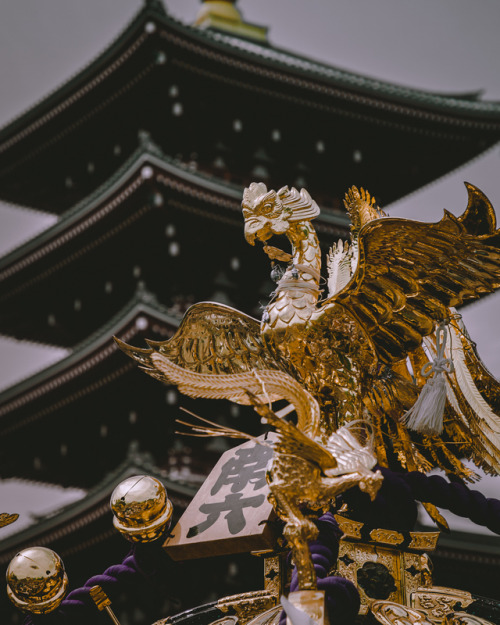  Matsuri mood ⛩Sanja Matsuri is one of the most popular festivals in Tokyo and held on the third wee