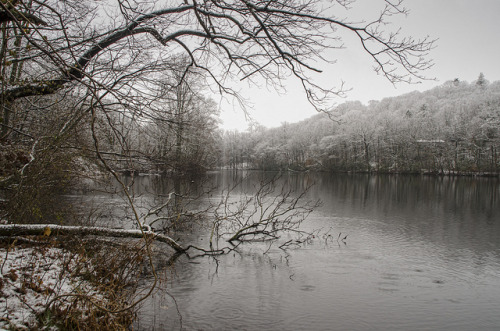 Winter Magic by pinkdressngreeneyes on Flickr.