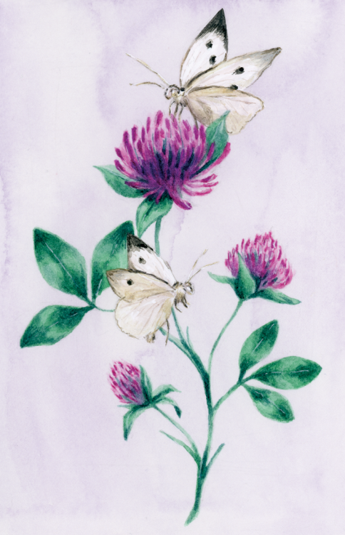 Bee’s and Butterflies - Gouache & Watercolour