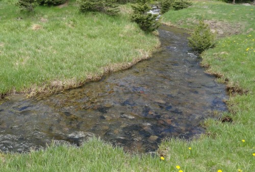 sleep-garden: Goodwin Creek / 6.21.14 - 6.22.14.