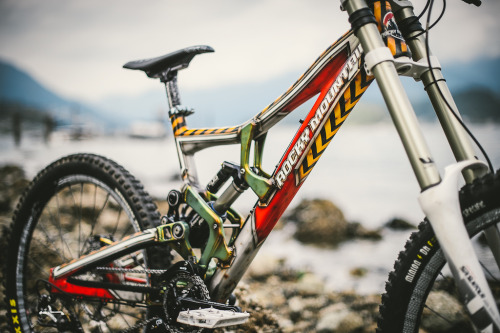 chirosangaku:  Tippie’s Custom Painthouse 2014 Rocky Mountain Flatline - Pinkbike