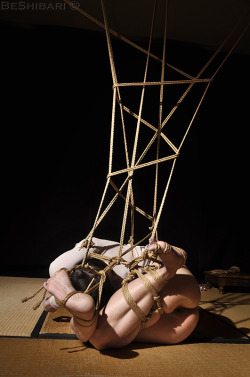 Beshibari:  Introspection  Ropeart: Beshibari - Model: Elize - Photo: Shibarista