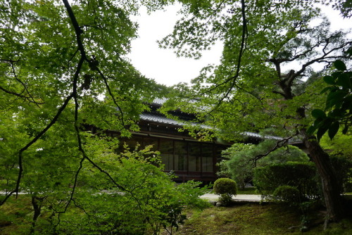  Konchi-in Buddhist temple, Sakyō-ku, Kyoto, Japan. Copyrights Val Moliere, Oct 2018 