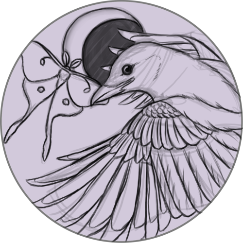 magpie-feathers