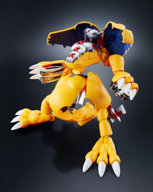 I’m screaming like a giddy little schoolgirl. THE DIGIVOLVING FIGURES OF MY CHILDHOOD ARE COMING BAC