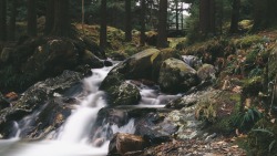 solarfractal:  Running water at Wicklow Mountains National Park, Ireland.  December, 2014  So the ‘waterfall’ didn’t impress. Pretty small and a tree was in the way - not pictured here. Had fun shooting these though.