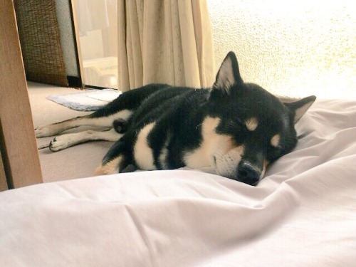 reedusgif:He is sleepy….