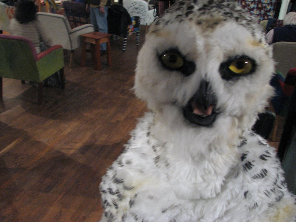 This owl &lt;3 &lt;3Look at all the feathering..! So prettySuit is by Crystumes,