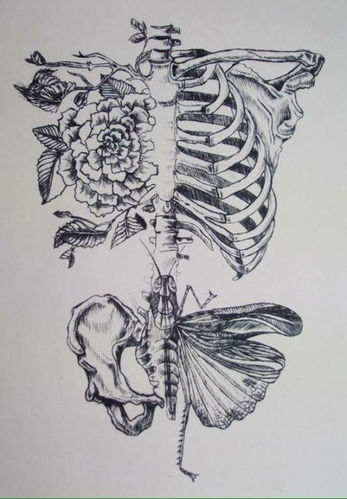 Medical Art Beautiful ^.^