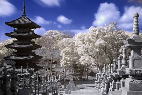 Pagoda dreams (IR) by EugeniusD80 on Flickr.