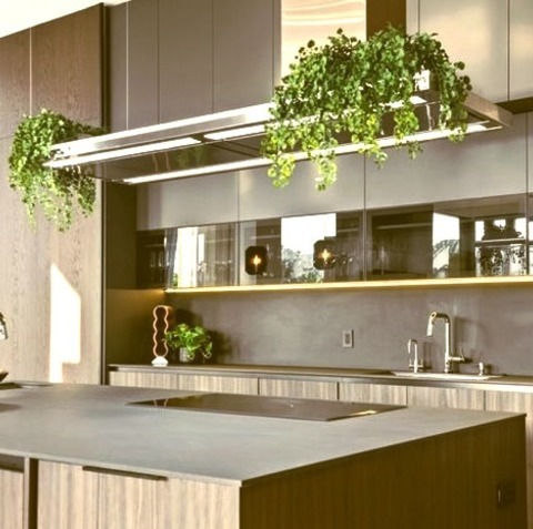Kitchen - Modern Kitchen