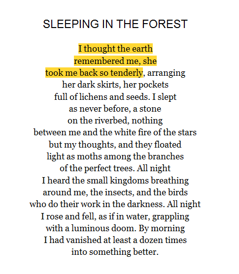 douceurs:Sleeping In the Forest,Mary Oliver