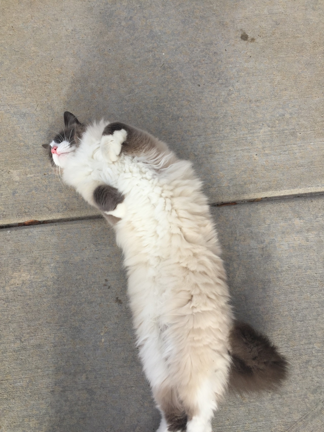 jordysnelson:  so majestic, so friendly 