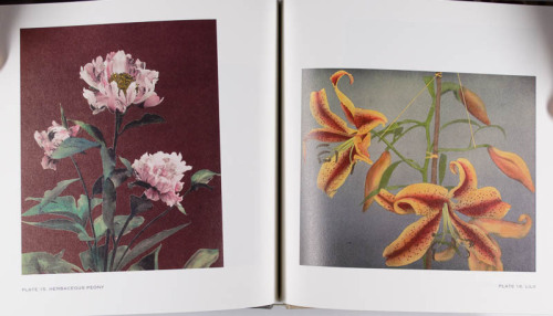 Some Japanese Flowers: Photographs by Kazumasa Ogawa, 2013 from the Visual Studies Workshop Books an