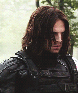 Your Bucky