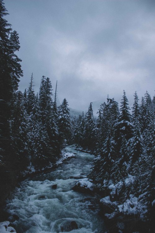 salboissettphoto: salboissettphoto:Snowfall over the Cheakamus river, Whistler , Bcsnapchat: sal
