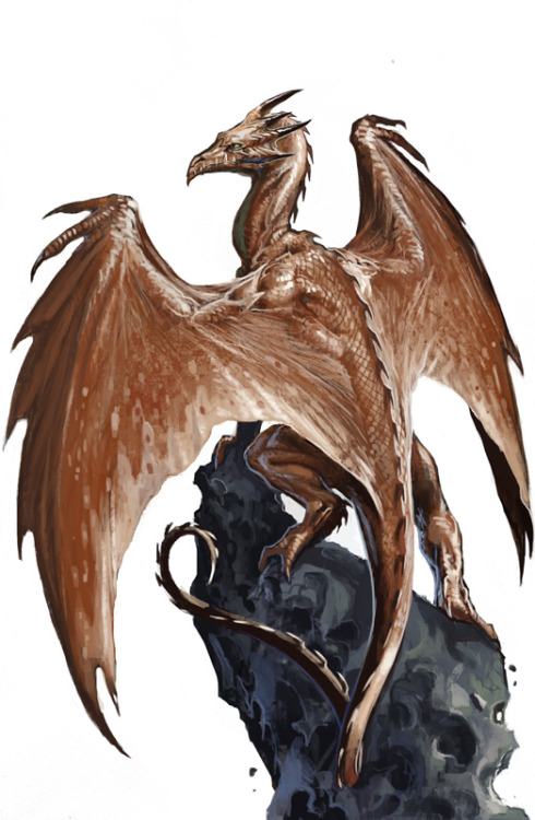 creaturesfromdreams:  Young Dragons by Ben Wootten —-x—- More: | Dragons | Random |CfD Amazon.com Store| 