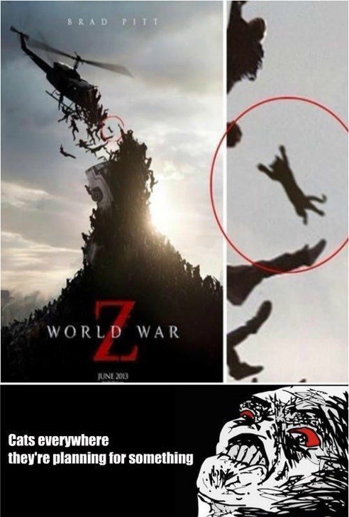 mcfloppin:  So there I was, watching this movie right. And then suddenly I see catz. Catz everywhere. 
