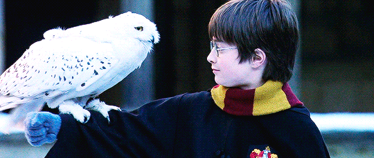 miones:  “It does not do to dwell on dreams and forget to live” Harry Potter