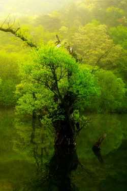 Jusanji Lake | S.L.Δ.B.