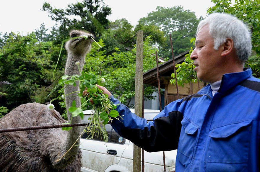 The Radioactive Man Who Returned To Fukushima To Feed The Animals That Everyone Else