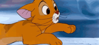 *Oliver Looks Up And Lets Out A Surprised And Happy Meow!*
