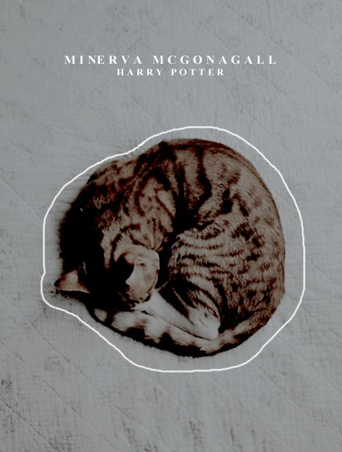 herhmione:harry witnessed professor mcgonagall walking right past peeves, who was determinedly loose