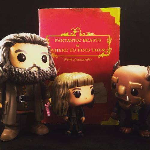 natnotnate: No, I assure you - I am not in this book. #funko #funkopop #hagrid #hermionegranger #be