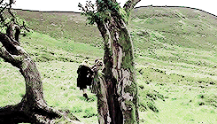eliaofsunspear:get to know me meme: [1/5] favourite books → The Gemma Doyle Trilogy